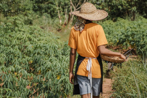 Saiba como mulheres agricultoras podem participar do Programa Nacional de Alimentação Escolar