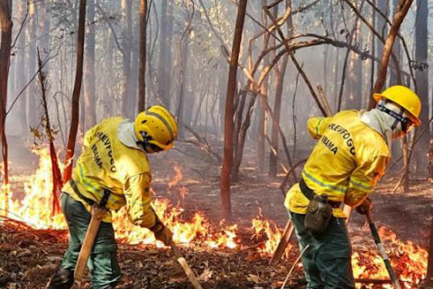 Apoio ao Amazonas no combate aos incêndios florestais será intensificado